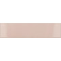COSTA NOVA Pink Stony 5x20 - плитка
